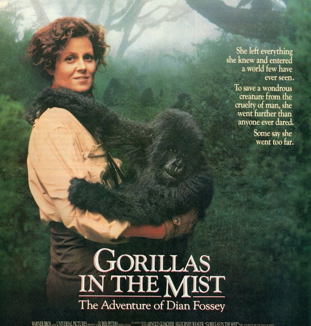 Gorillas in the Mist Poster