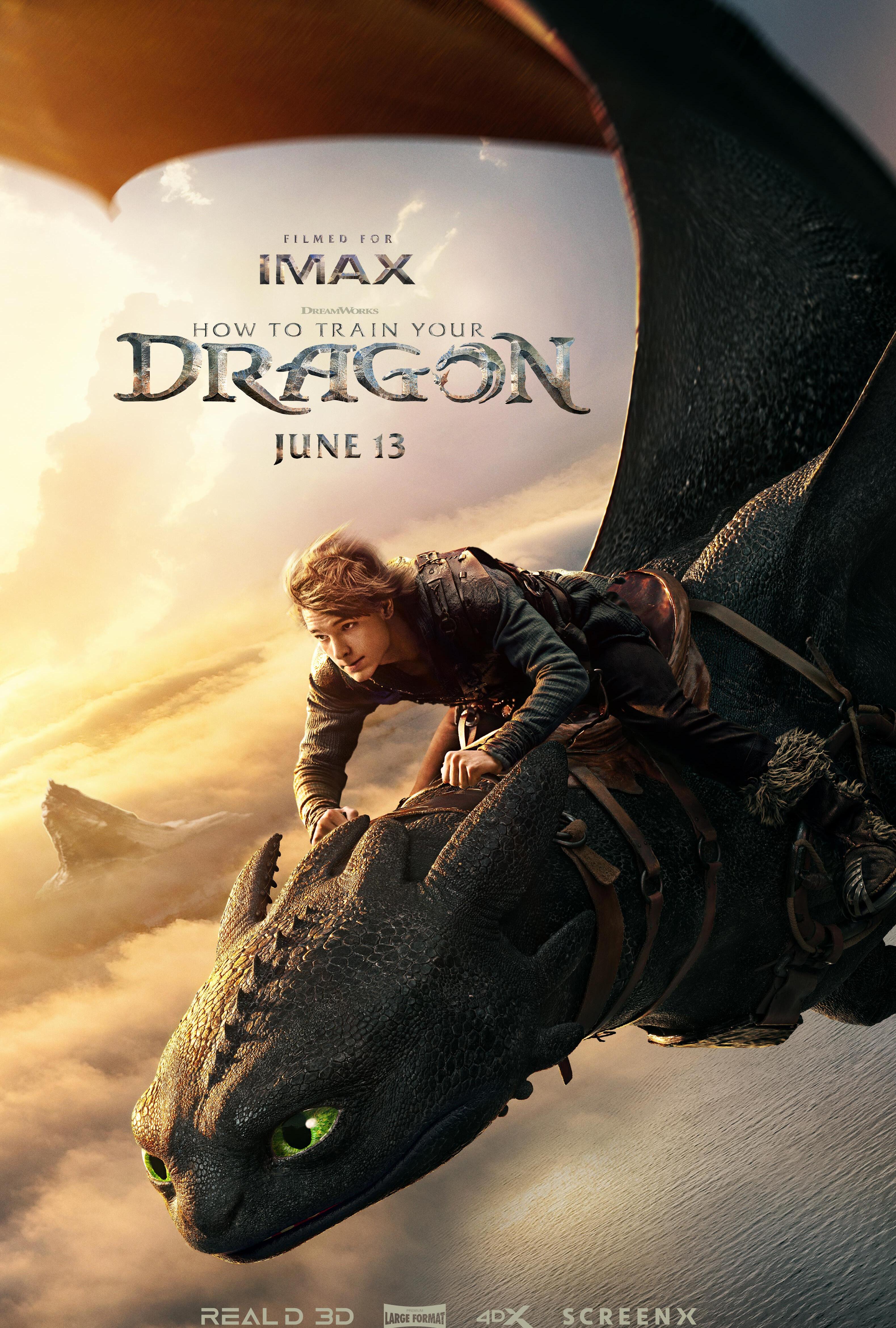 How to Train Your Dragon Poster