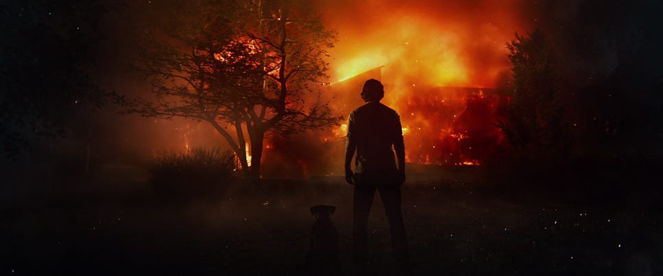 Framed 1338 November 3, 2025