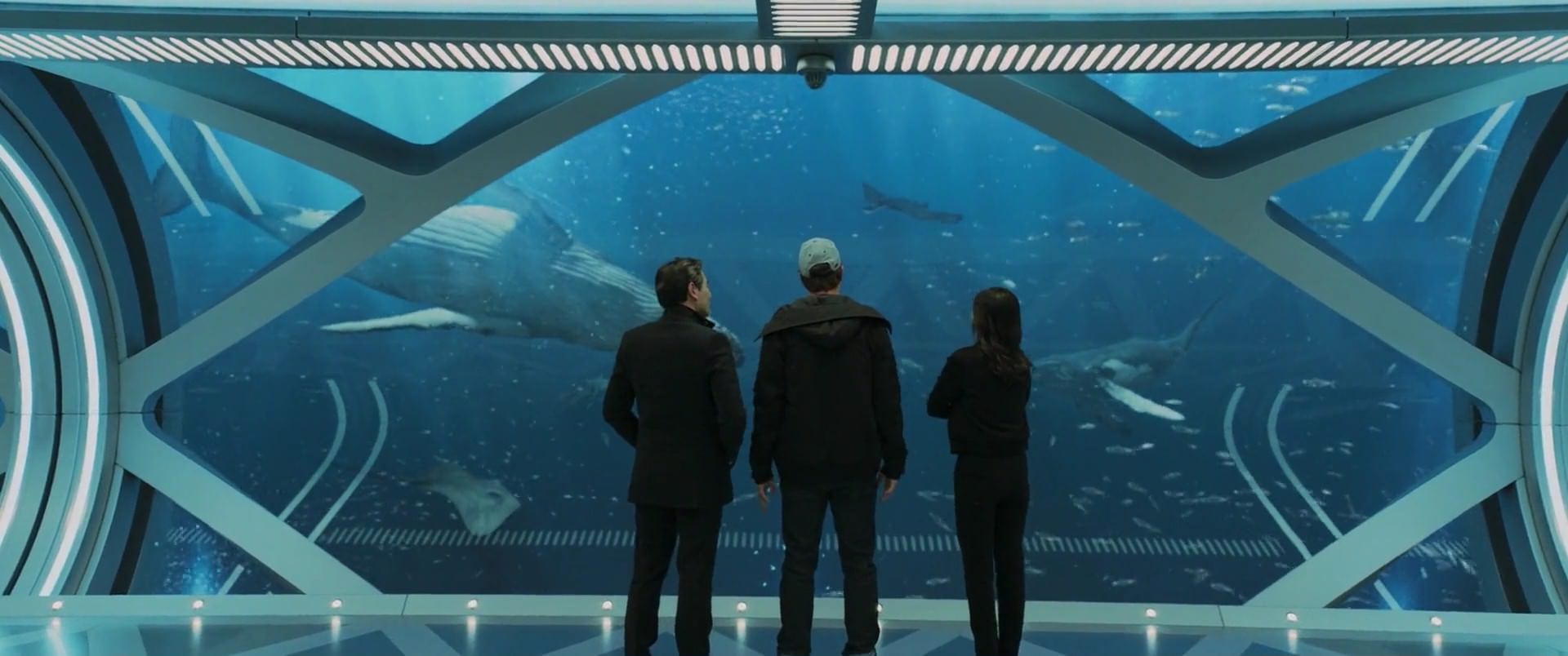 Framed 1343 November 8, 2025