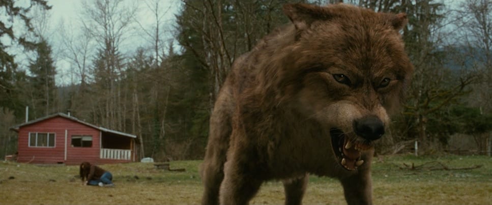 Framed 1359 November 24, 2025